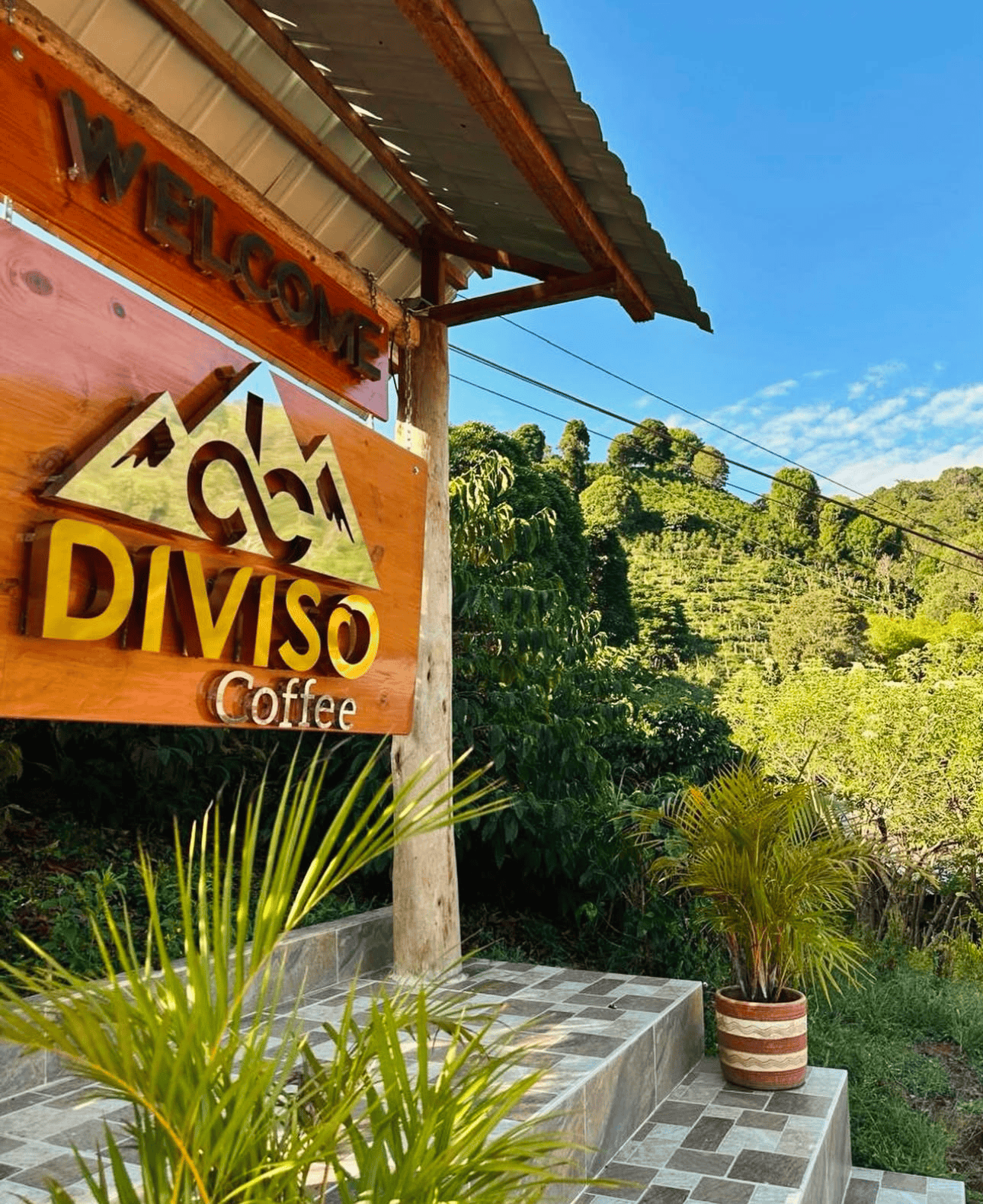 Café de especialidad Sidra Natural Expe — variedad Sidra, finca Finca El Diviso – Hermanos Lasso, región Pitalito, Huila