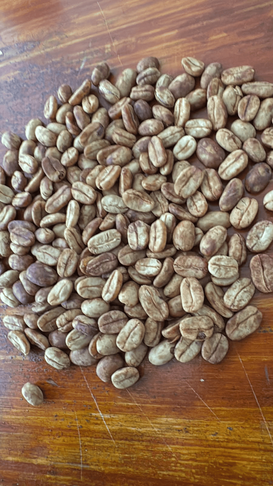 Café de especialidad Gesha Semilavado — variedad Gesha, finca Finca El Sendero – Andrés Martínez, región Cajibío, Cauca